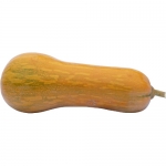 Orange Butternut Sonca